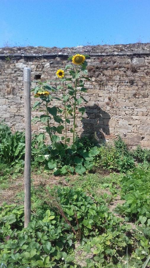 Kerbave Braz Villa Plouzelambre Bagian luar foto